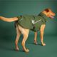 Hurtta Walk All Season Jacket Forest - Year-Round Dog Jacket, Green