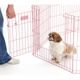 MidWest Life Stages Pink Exercise Pen - Pink Playpen for Puppies & Small Dogs, Panel 61x61cm