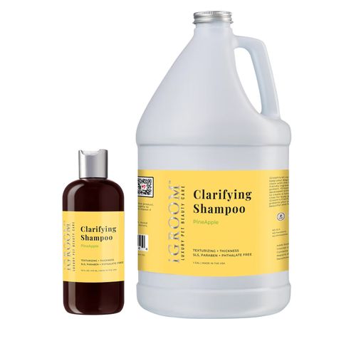 iGroom Clarifying Pineaple Shampoo - oczyszczający szampon dla psa i kota, o zapachu ananasa, koncentrat 1:16