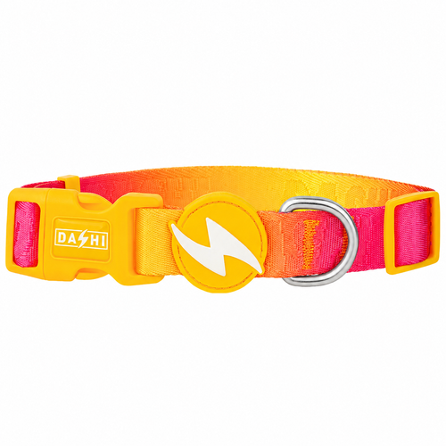 Dashi Lumix Solar Collar - obroża dla psa, różowo-żółta