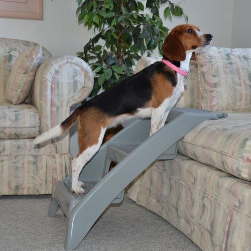 Booster Bath Pet Bathtub Stairs