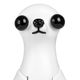 Mr. Jiang Small Model Dog Eyes & Nose - zapasowe oczka i nos do manekina groomerskiego