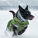 Hurtta Walk All Season Jacket Forest - Year-Round Dog Jacket, Green