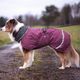 Perus Pomppa for Harness Plum - kurtka zimowa dla psa, z otworem na szelki, śliwkowa