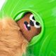 Nina Ottosson Dog Snuffle N' Treat Ball Level 2 - węchowa piłka na przysmaki dla psa, z 6 wiewiórkami, poziom 2, zielona