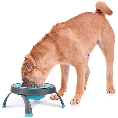 Collapsible raised dog bowl discount