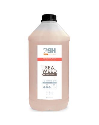 PSH Seaweed Dandruff Shampoo - szampon przeciwłojotokowy dla psa, z algami morskimi, koncentrat 1:4 - 5L