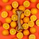 Dashi Fruity Bone Orange - gryzak dla psa, z aromatem pomarańczowym