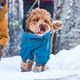Hurtta Extreme Overall II Arctic Sea - Winter Dog Bodysuit with Heat-Retaining Lining, Sea Blue