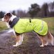 Perus Pomppa for Harness Lime - kurtka zimowa dla psa, z otworem na szelki, limonkowa