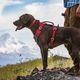 Kurgo Journey Air Harness Red - szelki do biegania dla psa, czerwone