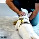 Dashi Eco Banana Back Harness - regulowane szelki guard dla psa, z materiałów z recyklingu, wzór w banany