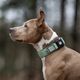Max&Molly GOTCHA! Smart ID Matrix 2.0 Extra Wide Collar Jade - Wide Dog Collar with QR ID Tag, Mint