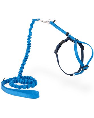 PetSafe Easy Walk Cat Harness Royal Blue - szelki i smycz bungee dla kota, niebieskie