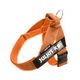 Julius-K9 IDC Color&Gray Belt Harness Orange - szelki pasowe, uprząż dla psa, pomarańczowe