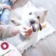 PetSafe Busy Buddy Bristle Bone - gryzak z przysmakiem dla psa, kość z wypustkami czyszczącymi zęby
