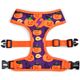 Dashi Pumpkin Neo Mesh Harness - bezuciskowe, dwustronne szelki dla psa, wzór w dynie Halloween