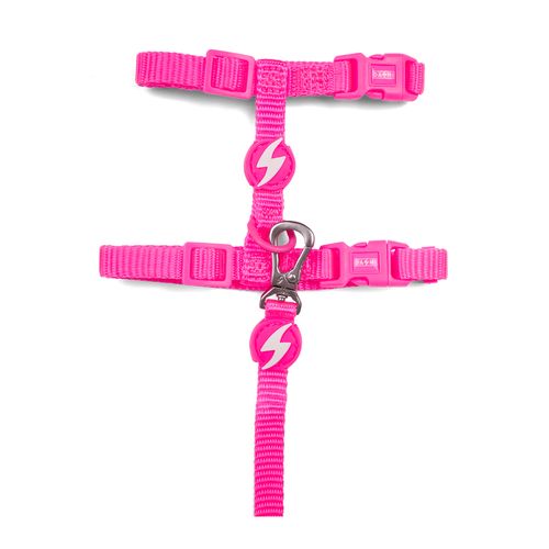 Dashi Neon Pink Cat Harness + Leash - nylonowe szelki i smycz dla kota, zestaw, neonowy róż