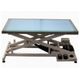 Blovi Luminous - Height Adjustment Grooming Table with Glass, LED Illuminated Top120cm x 65cm