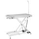 Blovi VT11 Veterinary Table 120x60cm - Veterinary Treatment Table, Ultra-Low Height Adjustment