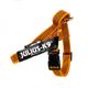 Julius-K9 IDC Color&Gray Belt Harness Orange - szelki pasowe, uprząż dla psa, pomarańczowe