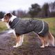 Perus Pomppa for Harness Graphite - kurtka zimowa dla psa, z otworem na szelki, szara