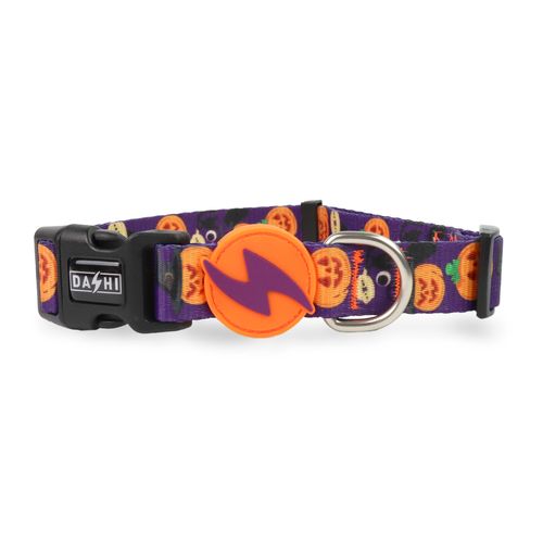 Dashi Pumpkin Collar - obroża dla psa, wzór w dynie Halloween