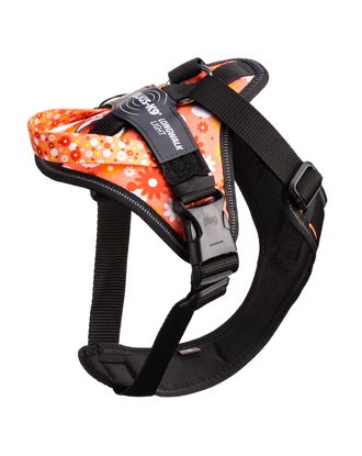 Julius-K9 IDC Longwalk Light Harness Pink Flower - lekkie szelki trekkingowe dla psa, z kieszonką na lokalizator GPS