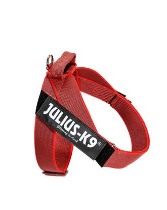 Julius-K9 IDC Color&Gray Belt Harness Red - szelki pasowe, uprząż dla psa, czerwona