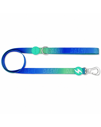 Dashi Lumix Borealis Leash 120cm - miejska smycz taśmowa dla psa, niebiesko-zielona
