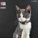 Dashi La Casa De Papel Melted Cat Collar - obroża dla kota, motyw z serialu Dom z Papieru, grafitowa