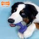 Nylabone Power Chew Rolling Dog Toy - twardy gryzak dla psa, turlająca się kość o zapachu bekonu