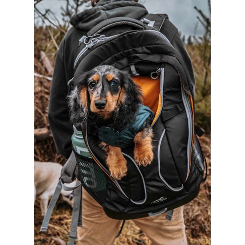 Kurgo G-Train K9 Pack - Backpack for Dogs & Cats, Black