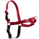 PetSafe Easy Walk Harness Red - szelki i smycz dla psa, zestaw czerwony