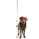 Show Tech Professional Adjustable Dog Measure Stick - profesjonalna miara kynologiczna