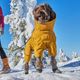Hurtta Extreme Overall II Desert - Winter Dog Bodysuit with Heat-Retaining Lining, Light Brown