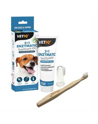 VetIQ 2in1 Enzymatic Toothcare Kit 70g - zestaw: enzymatyczna pasta do zębów dla psa i 2 szczoteczki