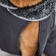 Perus Pomppa for Harness Graphite - kurtka zimowa dla psa, z otworem na szelki, szara