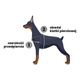 Dashi La Casa De Papel Mask Front Harness - szelki norweskie dla psa, motyw z serialu Dom z Papieru, czerwono-czarne