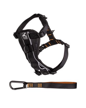 Kurgo Tru-Fit Quick Release Harness - szelki dla psa, do codziennych aktywności