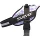 Julius-K9 IDC Powerharness Cartoon - szelki dla psa, z odblaskami, w kwiatki