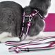 Dashi Stripes Purple & Black Cat Harness + Leash - szelki i smycz dla kota, zestaw, fioletowo-czarne paski