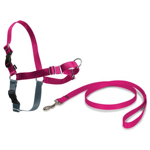 PetSafe Easy Walk Harness Raspberry Pink - szelki i smycz dla psa, zestaw różowy