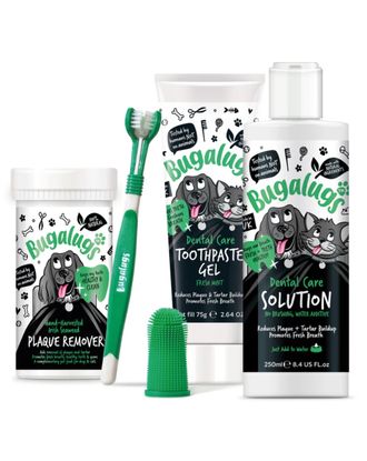 Bugalugs Dental Starter Kit - zestaw do czyszczenia zębów psa i kota