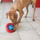 KONG Gyro - ruchoma kula na smakołyki dla psa, z pierścieniem do toczenia i popychania