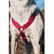 Hurtta Casual Y-Harness Lingon - szelki guard dla psów