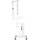 Blovi Luce Air Lift LED Grooming Table 60cm - Rotating Illuminated Top, with Pneumatic Height Adjustment