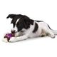 PetSafe Busy Buddy Bouncy Bone - gryzak z przysmakiem dla psa, piłka z kością