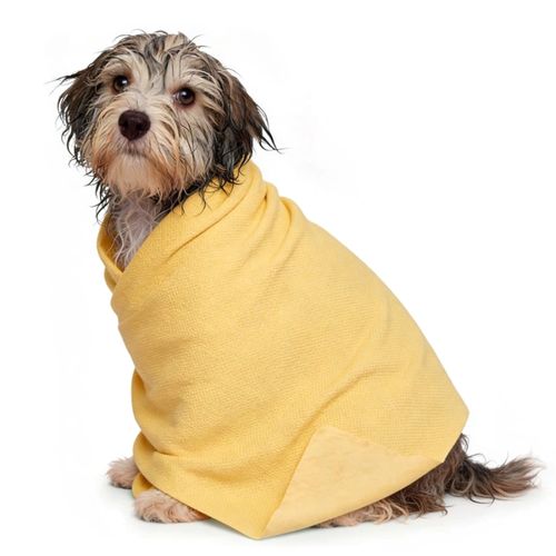 Record Dry Dog Towel 66x43cm Yellow - ręcznik chłodzący dla psa i kota, żółty