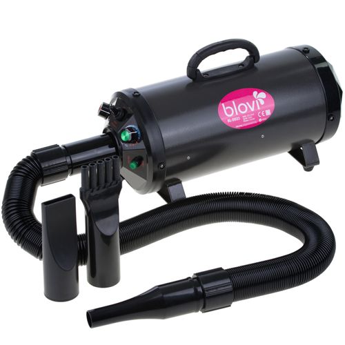 Flying pig blow dryer new arrivals